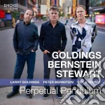 Larry Goldings / Peter Bernstein / Bill Stewart - Perpetual Pendulum cd
