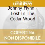 Johnny Flynn - Lost In The Cedar Wood cd