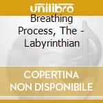 Breathing Process, The - Labyrinthian cd musicale