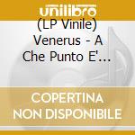 (LP Vinile) Venerus - A Che Punto E' La Notte