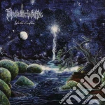 (LP Vinile) Psychotic Waltz - Into The Everflow (Re-Issue 2024) vinile