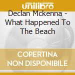 Declan Mckenna - What Happened To The Beach cd