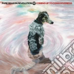 Pure Reason Revolution - Coming Up To Consciousness (Cd+Dvd) cd