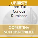 Jethro Tull - Curious Ruminant cd