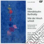 Felix Mendelssohn / Ziesak / Schneiderman / Bernius - Wie Der Hirsch Schreit: Church Music 4 cd