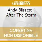 Andy Blissett - After The Storm cd musicale di Andy Blissett