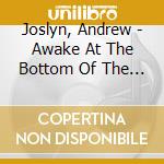 Joslyn, Andrew - Awake At The Bottom Of The Ocean cd musicale di Joslyn, Andrew