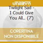 Twilight Sad - I Could Give You All.. (7
