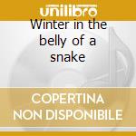 Winter in the belly of a snake cd