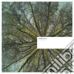 (LP Vinile) Sunken Foal - Fallen Archive (2 Lp) vinile