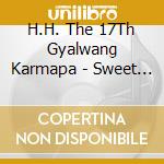 H.H. The 17Th Gyalwang Karmapa - Sweet Melody Of The Joyful Aspiration cd