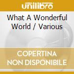 What A Wonderful World / Various cd musicale