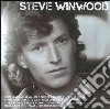 Steve Winwood - Icon cd