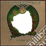 (LP VINILE) Gone to earth cd