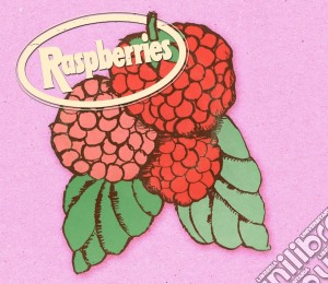 Raspberries - Classic Album Set (4 Cd) cd musicale di Raspberries