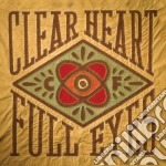 Craig Finn - Clear Heart Full Eyes (Dig)
