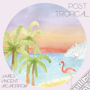 James Vincent Mcmorrow - Post Tropical (Dig) cd musicale di Mcmorrow James Vincent