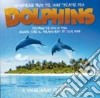 Sting / Wood Steve - Dolphins cd