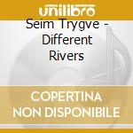 Seim Trygve - Different Rivers cd musicale di SEIM TRYGVE