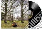 (LP Vinile) Jim Camacho - One Glorious Day vinile