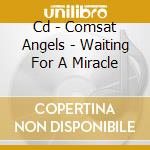 Cd - Comsat Angels - Waiting For A Miracle cd
