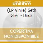(LP Vinile) Seth Glier - Birds vinile