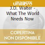 J.D. Walter - What The World Nneds Now cd