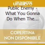 Public Enemy - What You Gonna Do When The Grid Goes Down? cd