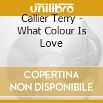 Callier Terry - What Colour Is Love cd musicale di Terry Callier