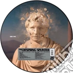 (LP Vinile) Offspring (The) - Splinter (Picture Disc) (Rsd 2024) vinile