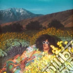 Brittany Howard - What Now cd