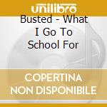 Busted - What I Go To School For cd