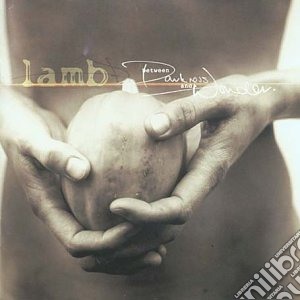 Lamb - Between Darkness And Wonder cd musicale di Lamb