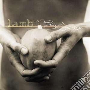 Lamb - Between Darkness And Wonder cd musicale di LAMB