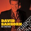 Sanborn David - Only Everything cd