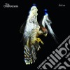 Courteeners - Falcon cd