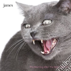 James - Morning After The Night Before cd musicale di James