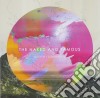 Naked & Famous (The) - Passive Me, Aggressive You cd