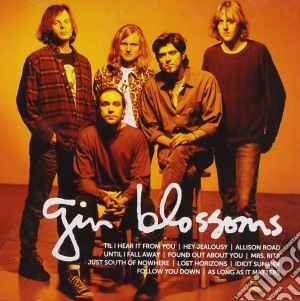 Gin Blossoms - Icon cd musicale di Gin Blossoms