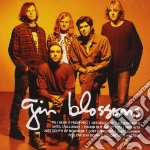 Gin Blossoms - Icon cd