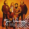 Gin Blossoms - Icon cd