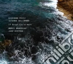 Giovanna Pessi / Susanna Wallumrod - If Grief Could Wait cd