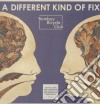(LP Vinile) Bombay Bicycle Club - A Different Kind Of Fix cd