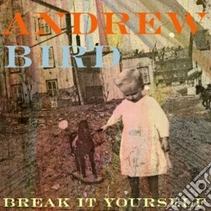 Andrew Bird - Break It Yourself cd musicale di Bird Andrew