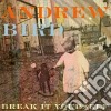 Andrew Bird - Break It Yourself cd