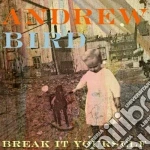 Andrew Bird - Break It Yourself (Cd+Dvd) cd
