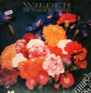 Wilder cd musicale di Explodes Teardrop