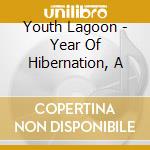 Youth Lagoon - Year Of Hibernation, A cd musicale di Youth Lagoon