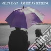 Gruff Rhys - American Interior cd