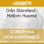 Odin Staveland - Mellom Husene cd